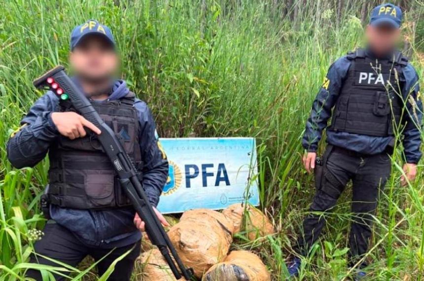Operativo Pantera Verde- el DFI secuestroacute maacutes de 200 kilos de marihuana en Misiones