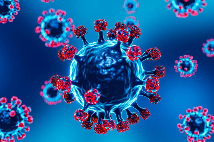 Detectaron en Argentina tres casos de la nueva variante de gripe A H3N2 subclado K