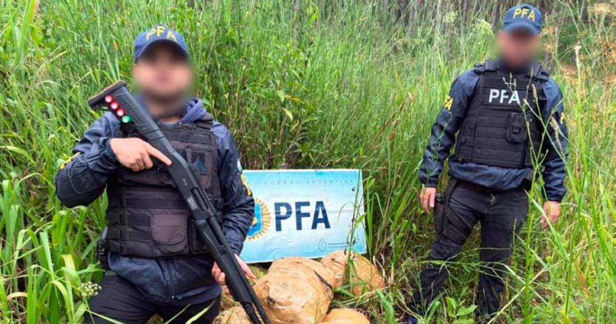 Operativo Pantera Verde- el DFI secuestroacute maacutes de 200 kilos de marihuana en Misiones