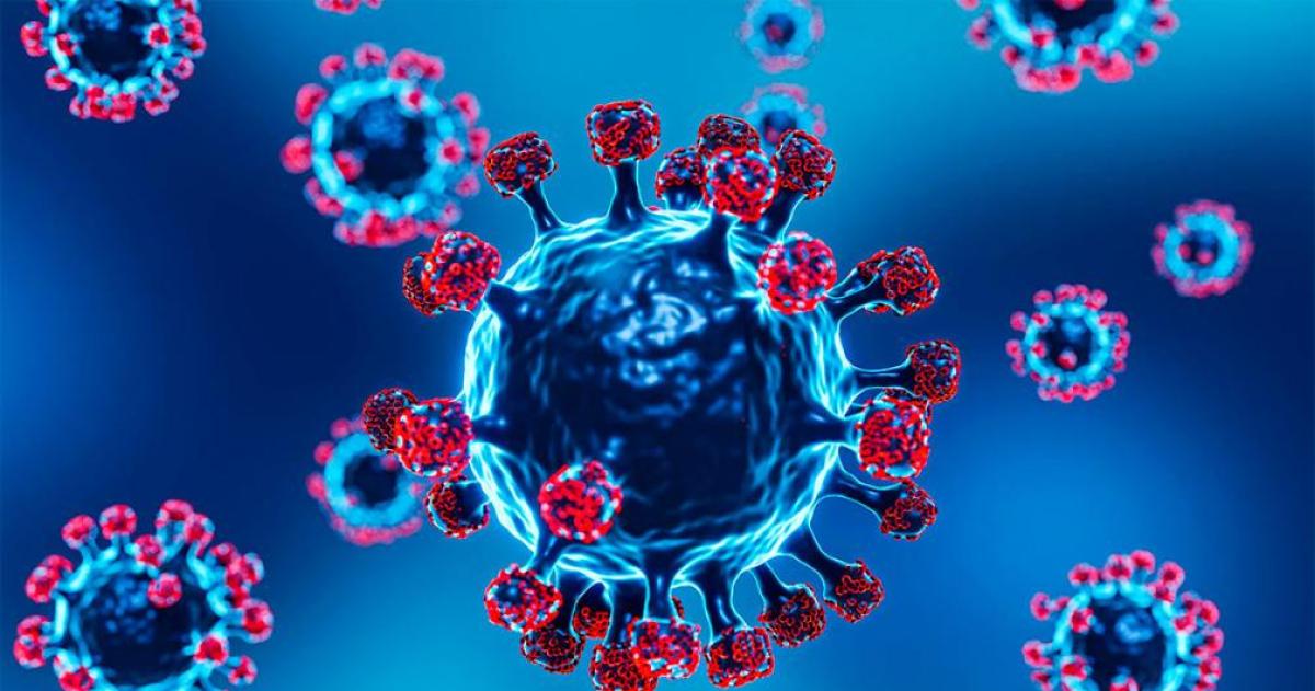 Detectaron en Argentina tres casos de la nueva variante de gripe A H3N2 subclado K