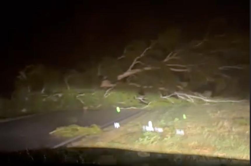 El bloqueo de la ruta se produjo a la altura de la localidad de Trili