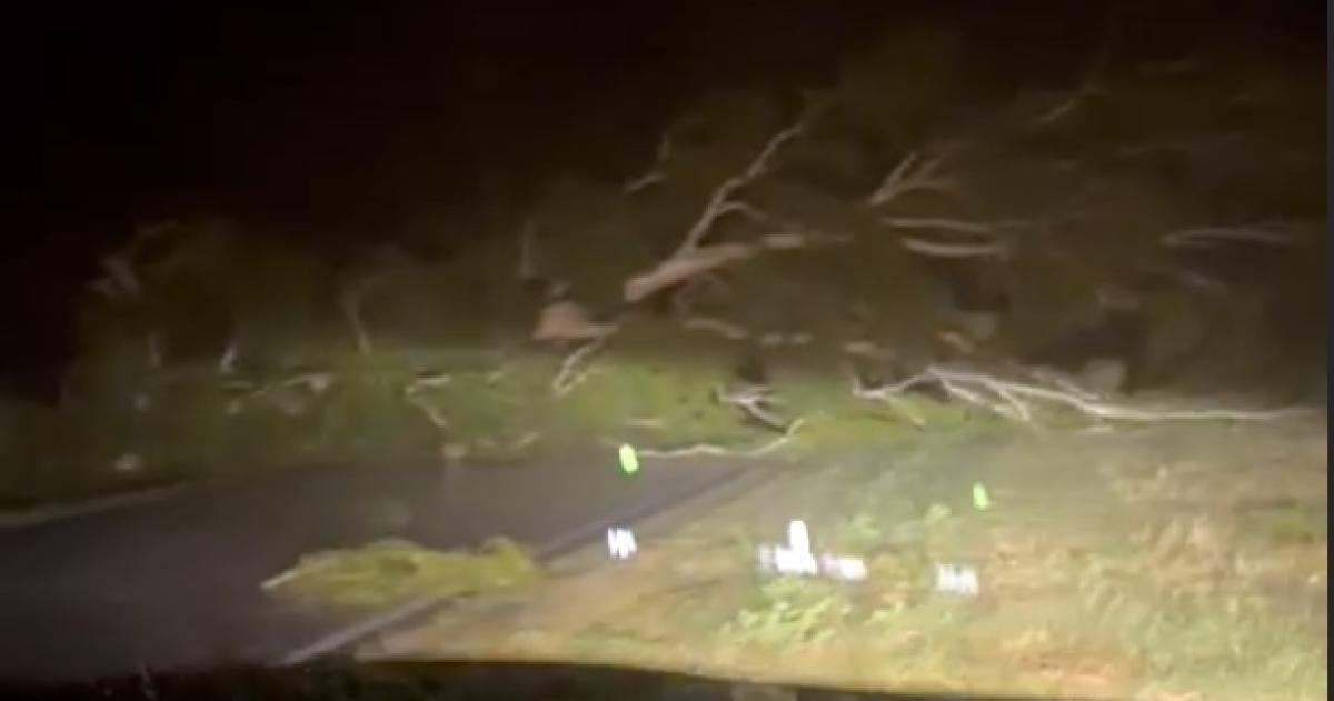 El bloqueo de la ruta se produjo a la altura de la localidad de Trili