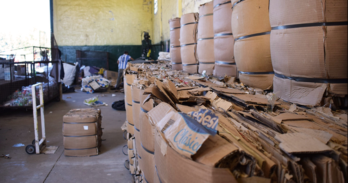 Una exempleada dice que hay manejos poco claros en la Planta de Reciclado