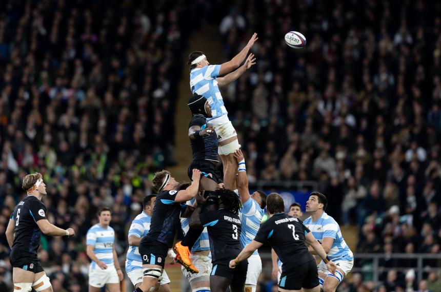 Los Pumas jugar�n contra los equipos del Hemisferio Norte