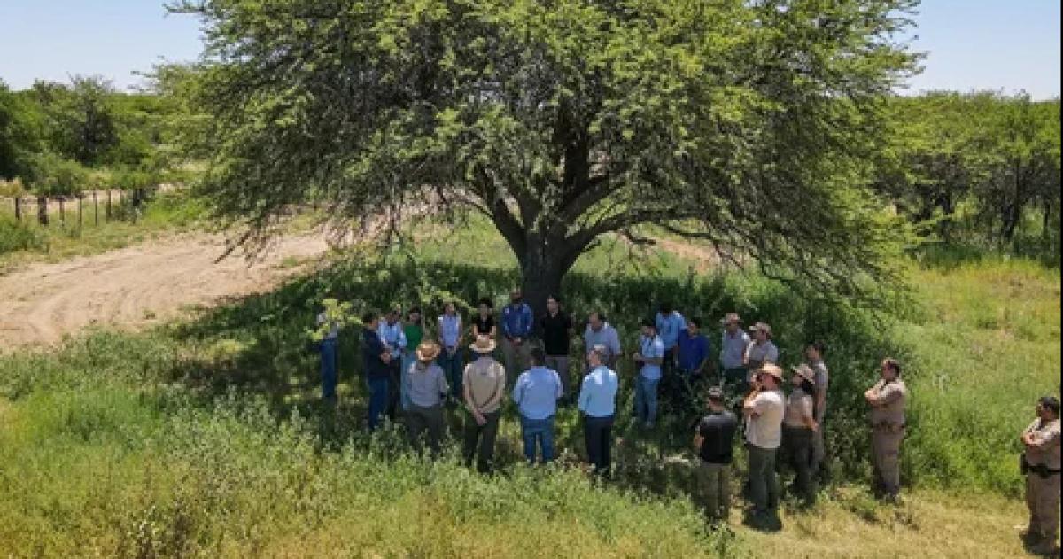 El bosque de caldén es uno de los cinco ambientes �nicos de Argentina