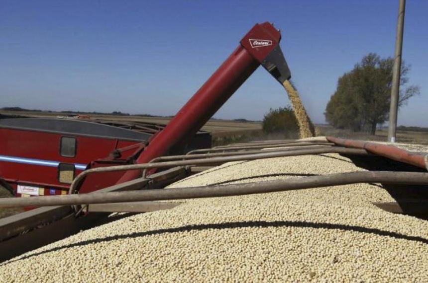 El perfil exportador de la provincia sigue estando fuertemente anclado en el sector agropecuario