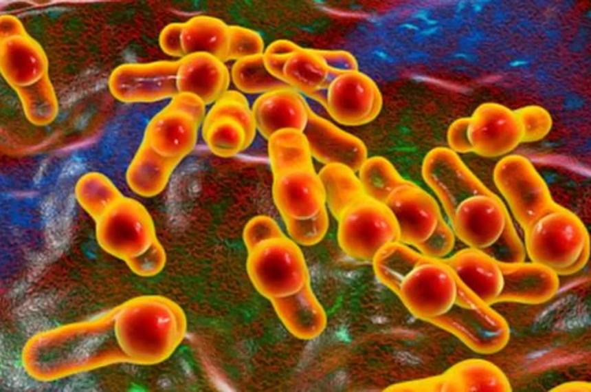 Botulismo- alerta por un caso sospechoso