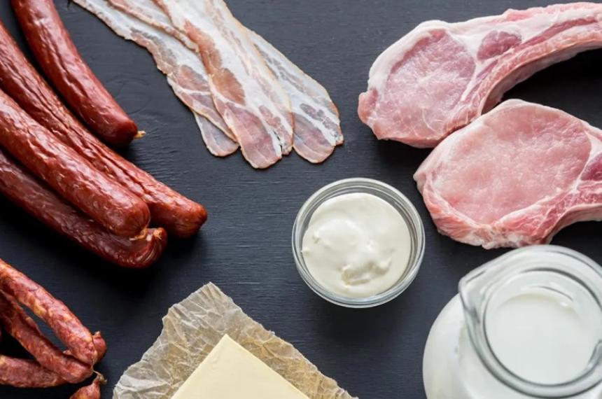 Los alimentos ricos en grasas saturadas son principalmente de origen animal