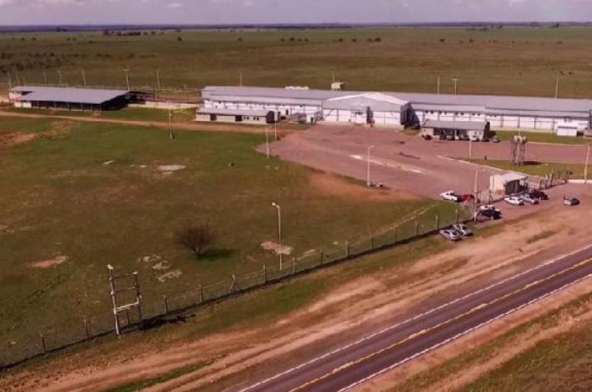 El frigoriacutefico de Bernasconi adeuda salarios a 120 trabajadores