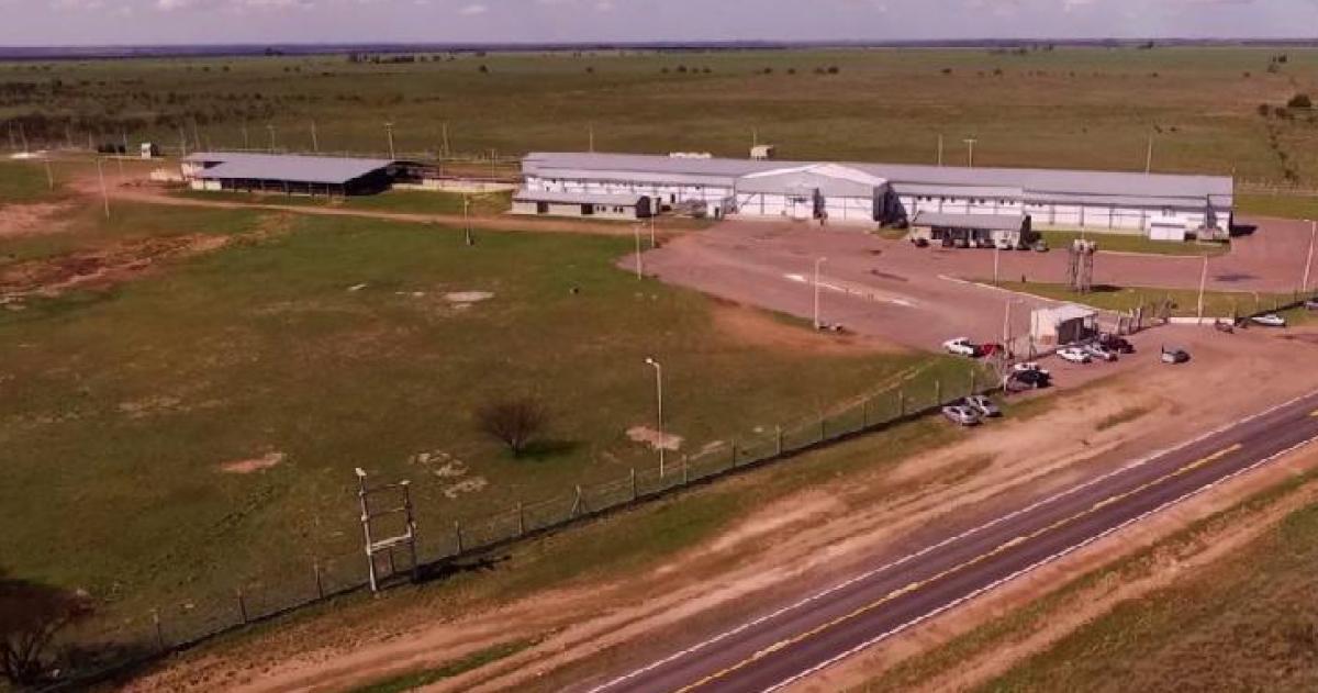 El frigoriacutefico de Bernasconi adeuda salarios a 120 trabajadores