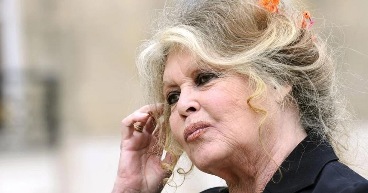 Nacida en París en 1934 Bardot alcanzó la cima de la popularidad en 1956