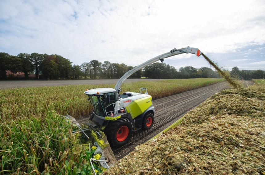 Decisiones forrajeras- silajes en tiempos de incertidumbre climaacutetica