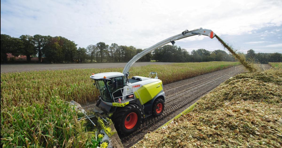 Decisiones forrajeras- silajes en tiempos de incertidumbre climaacutetica