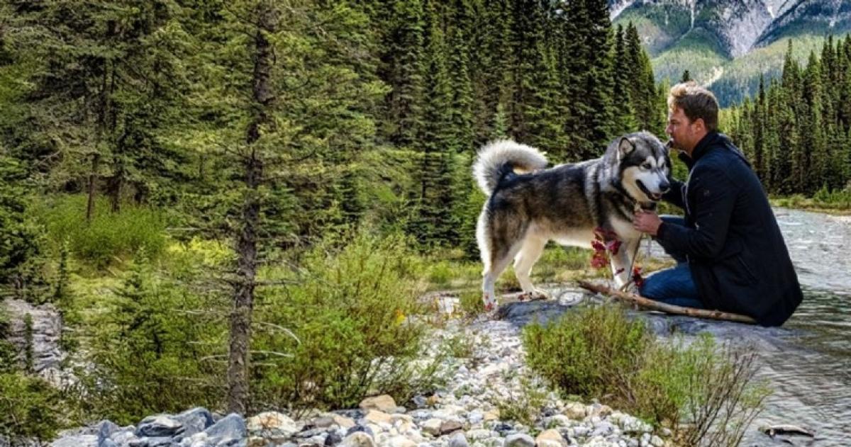 Una historia que conmueve al p�blico argentino