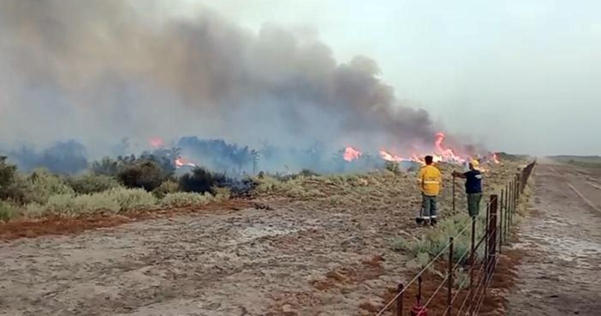 Nuacutemeros de la semana