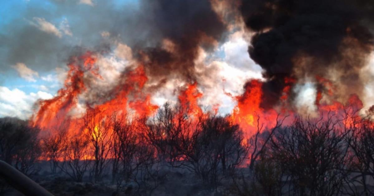 Sequía altas temperaturas y fuertes vientos generan preocupación de cara a la temporada de incendios