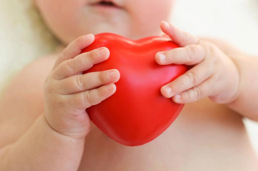 Repudio al desmantelamiento del Programa de Cardiopatiacuteas Congeacutenitas