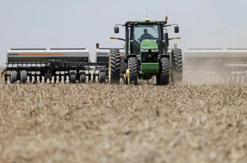 Cultivos estivales bajo sequiacutea y calor extremo