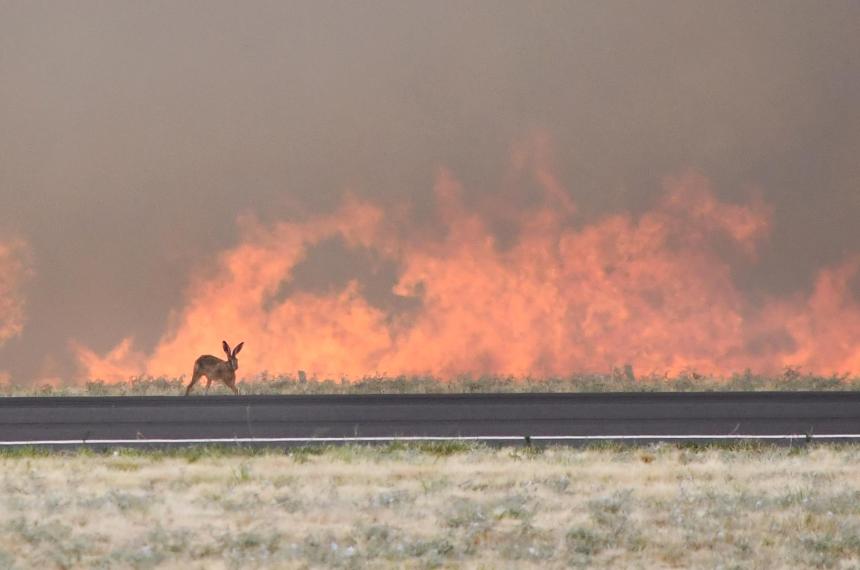 El incendio en el Aeropuerto de Santa Rosa se extiende hacia zonas pobladas y comerciales 