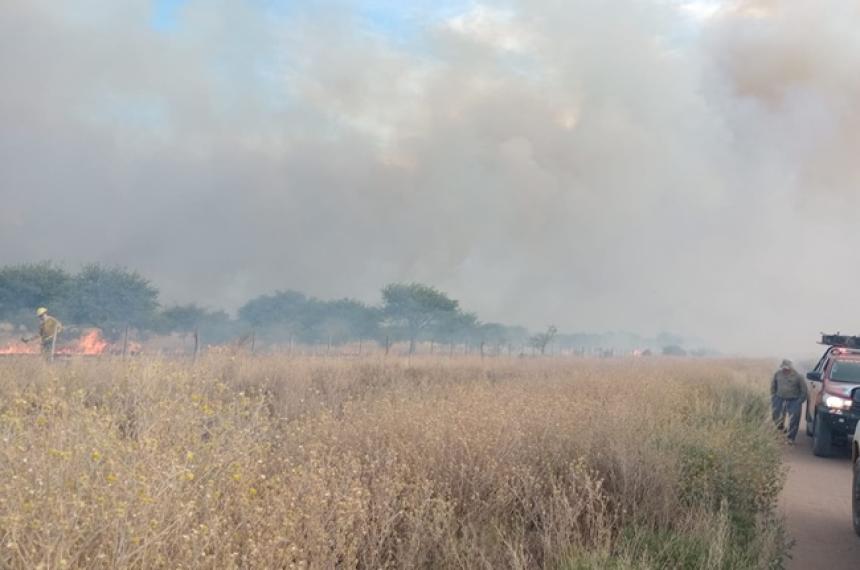 El fuego fue controlado gracias a la presencia de picadas en el campo