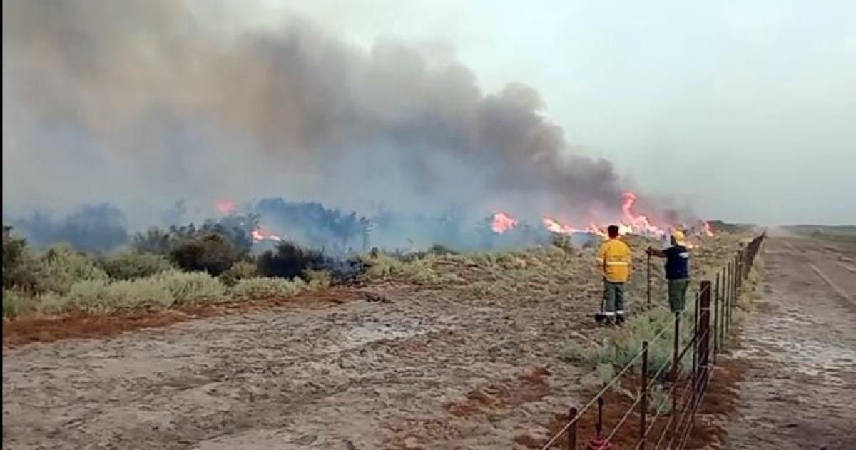 CARBAP sostuvo que ya se quemaron 130000 hect�reas de campos en La Pampa