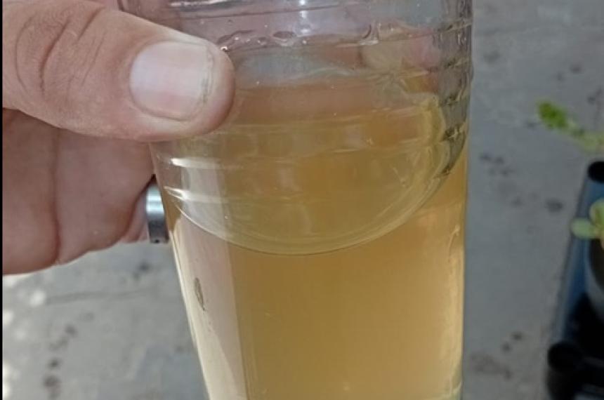 La Municipalidad dijo que hizo controles y el agua es apta