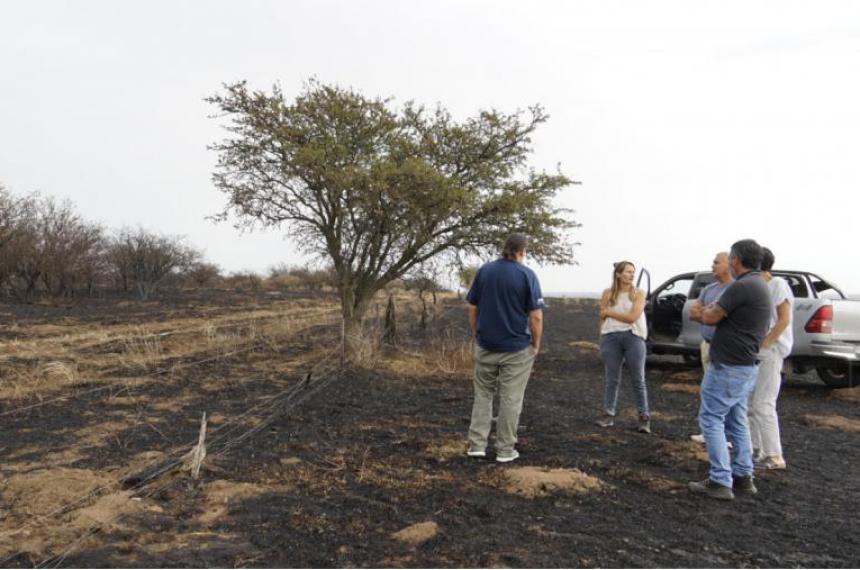  Lanzaron líneas de crédito del CFI para la reconstrucción