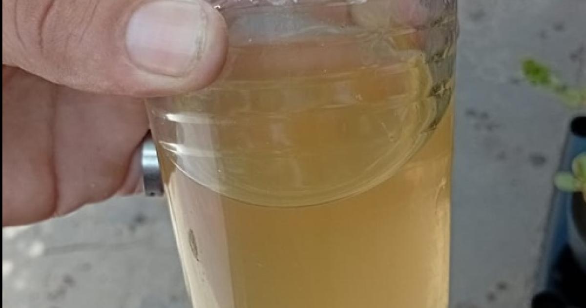 La Municipalidad dijo que hizo controles y el agua es apta