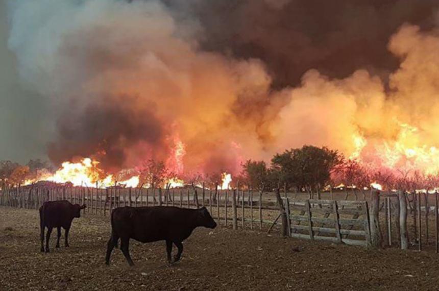 El ajuste presupuestario impacta en un escenario crítico para la provincia