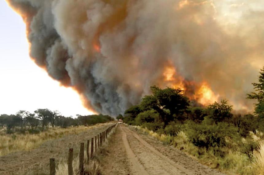 Las medidas comprenden asistencia financiera y prórroga de vencimientos
