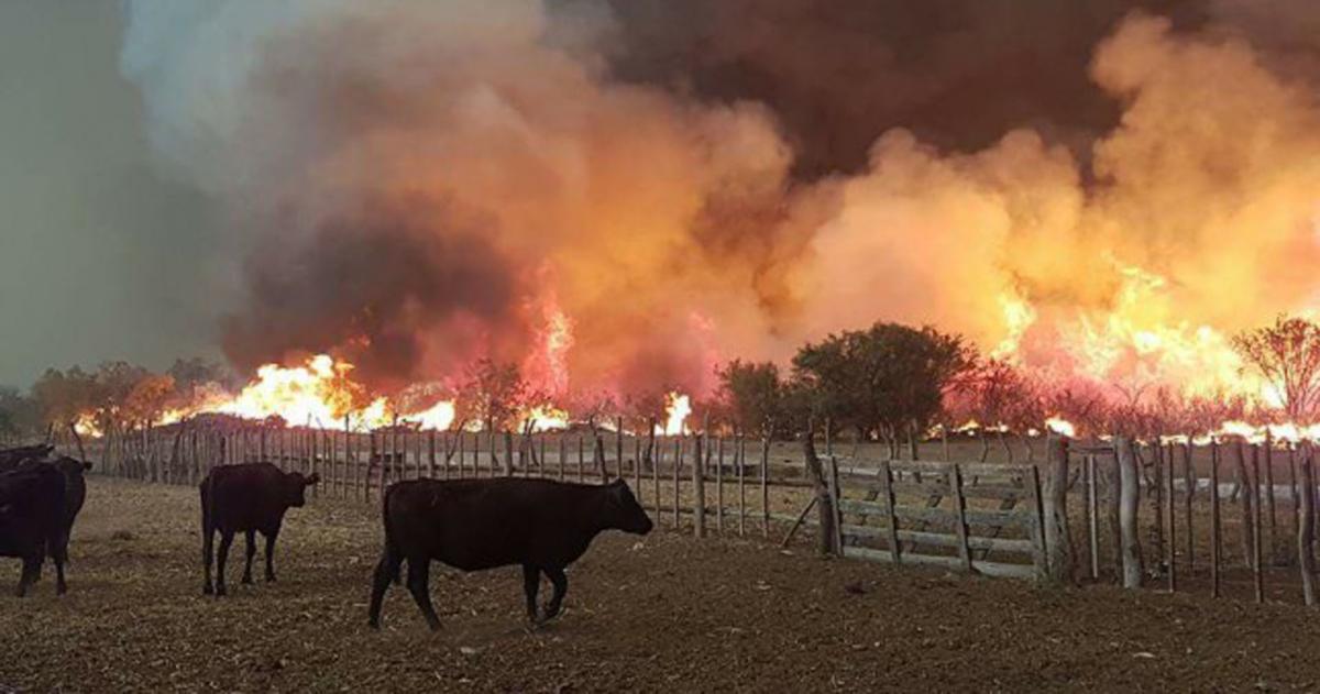 El ajuste presupuestario impacta en un escenario crítico para la provincia