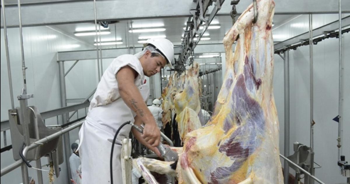 Los trabajadores no tienen certezas si cobrar�n lo adeudado por la firma HV