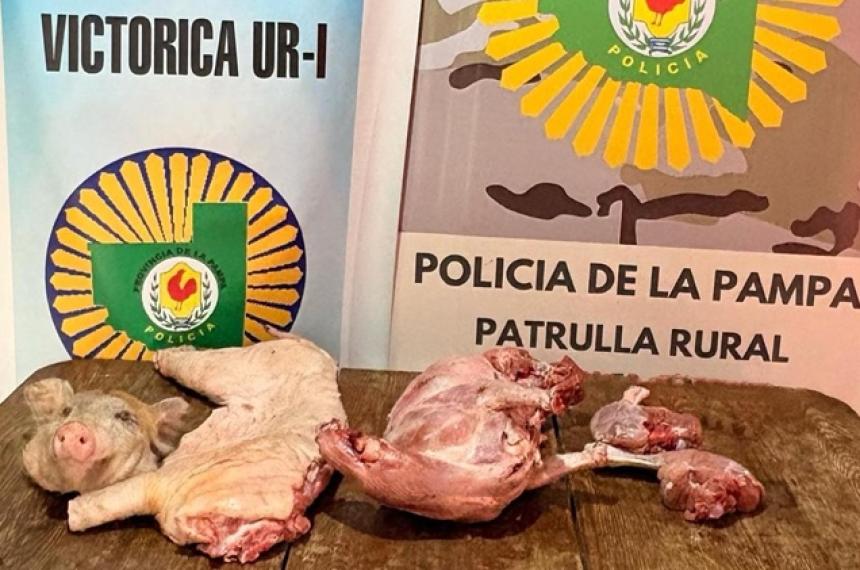 La Policía de Victorica y la Patrulla Rural intervinieron en el hecho