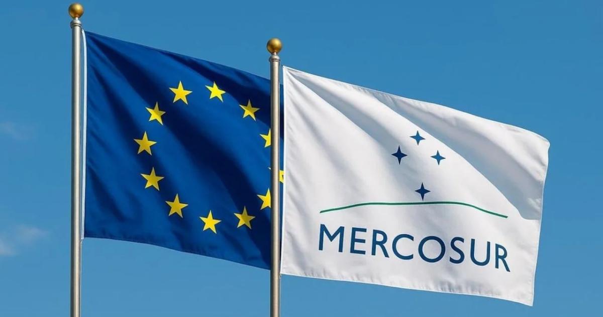 La Unioacuten Europea aproboacute el acuerdo de libre comercio con el Mercosur tras 25 antildeos
