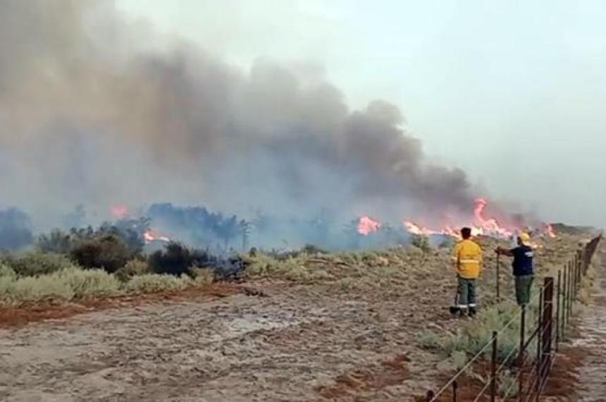 Imaacutegenes de la semana