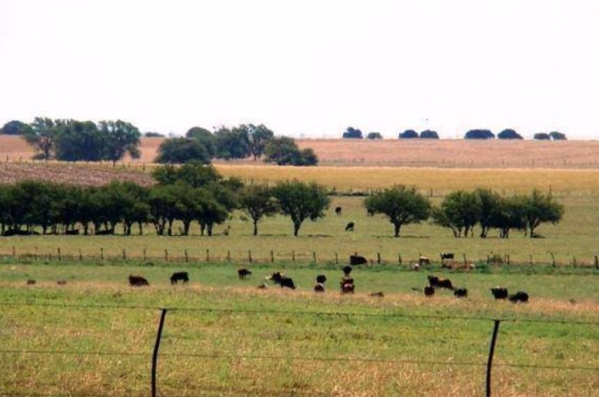 Atreucoacute y Loventueacute superan el promedio nacional de tierras en manos extranjeras