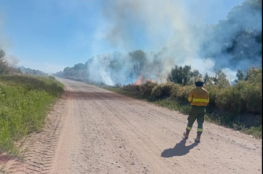 El fuego se inició a la madrugada Brigadistas y bomberos lo frenaron
