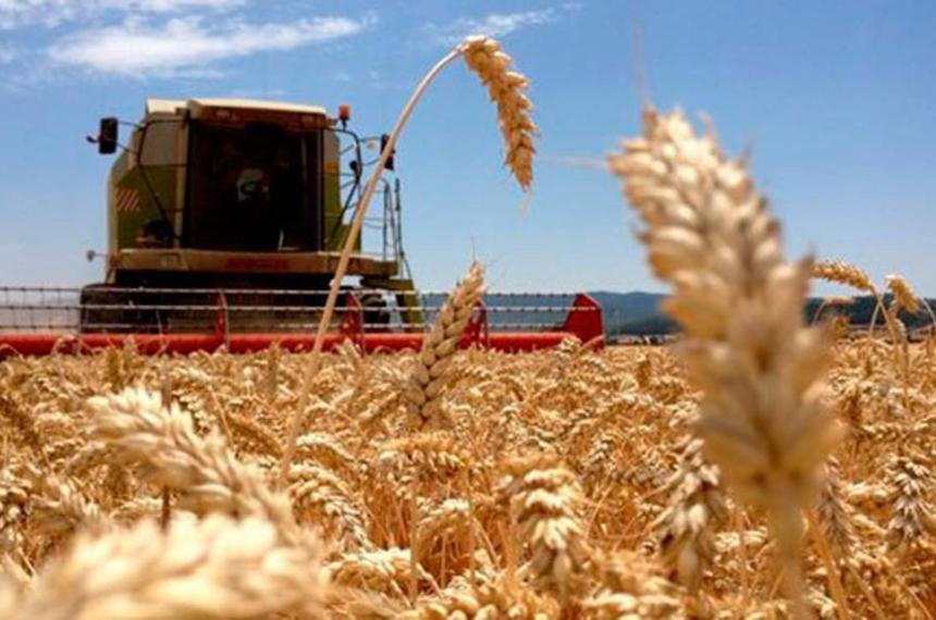 Actualidad de los mercados agropecuarios- contexto global regional y local