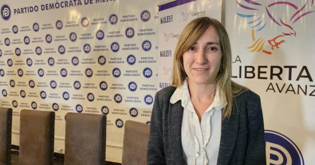 Mercedes Llano propone la rendición de los gastos de las universidades nacionales