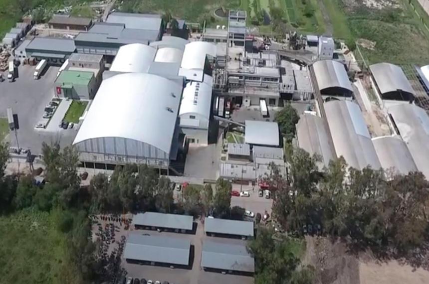 La faena del Frigorífico Pico se redujo notablemente