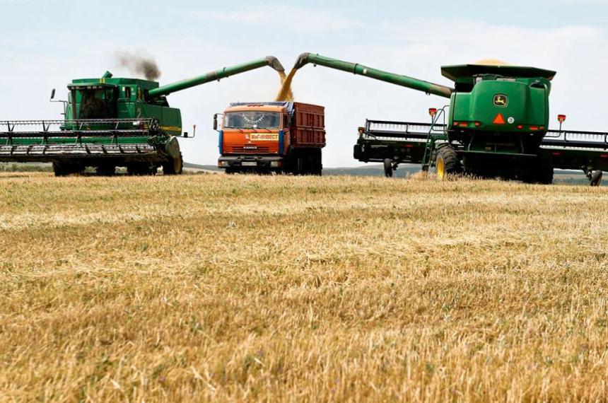 Gran expectativa- proyectan una cosecha reacutecord de maiacutez de 62 millones de toneladas