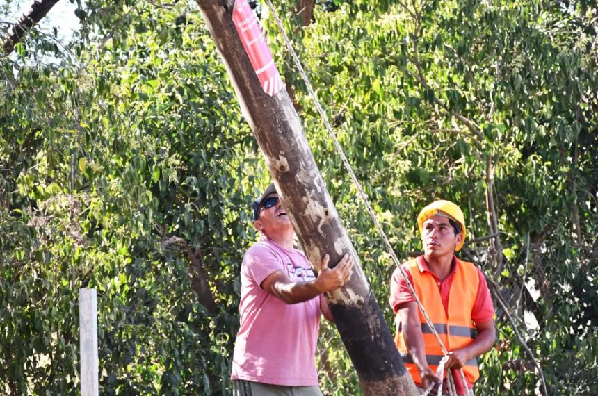 Denuncian que Clariacuten no cesa en el tendido ilegal de fibra oacuteptica