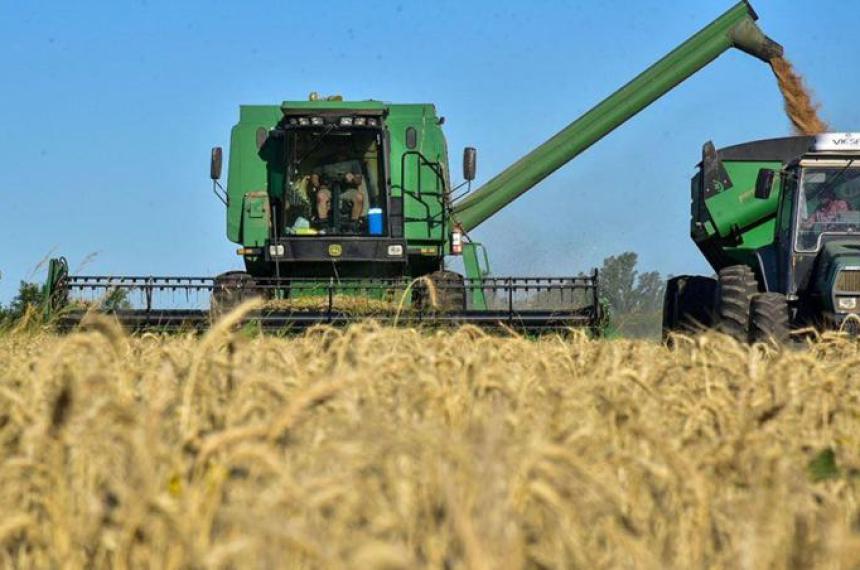La provincia se destaca en la cosecha de trigo
