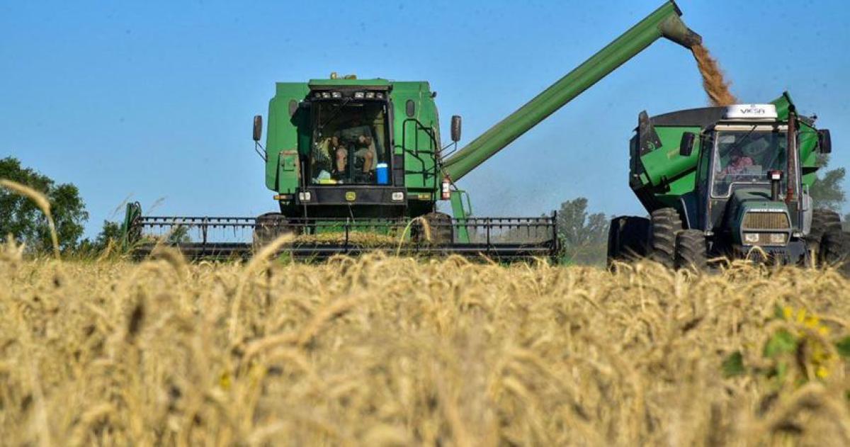 La provincia se destaca en la cosecha de trigo
