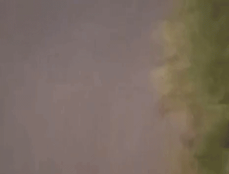 Continuacutean las picadas ilegales en la Ruta 152