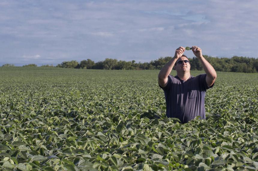 Control de plagas en soja en un contexto de estreacutes hiacutedrico generalizado
