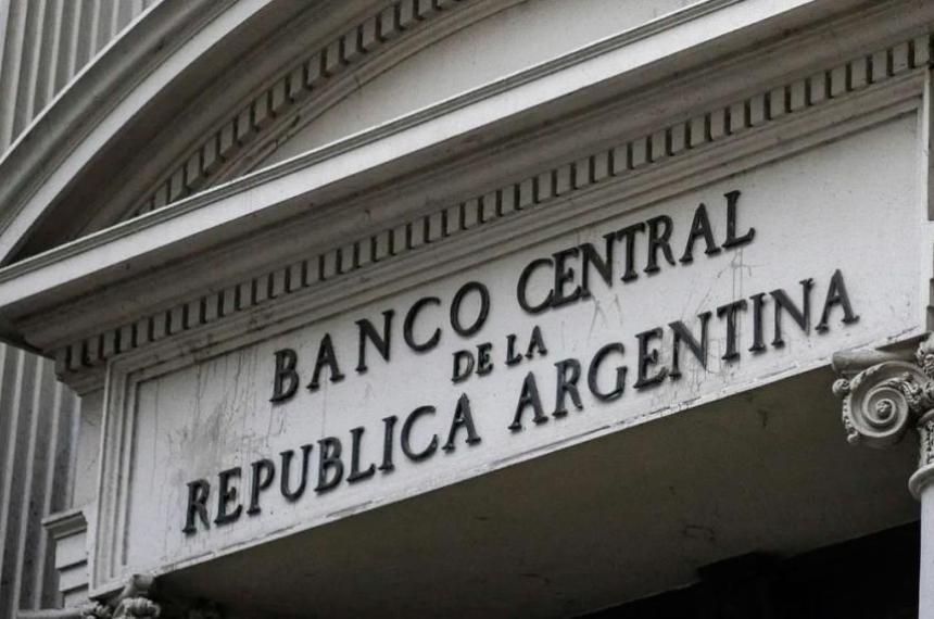 El Banco Central sumoacute divisas y las reservas treparon a US44874 millones reacutecord con Milei
