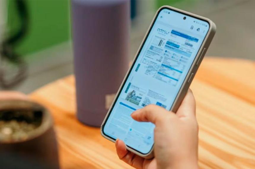 Nuevo esquema de subsidios a la luz y el gas- lanzan el ReSEF y fijan criterios para acceder