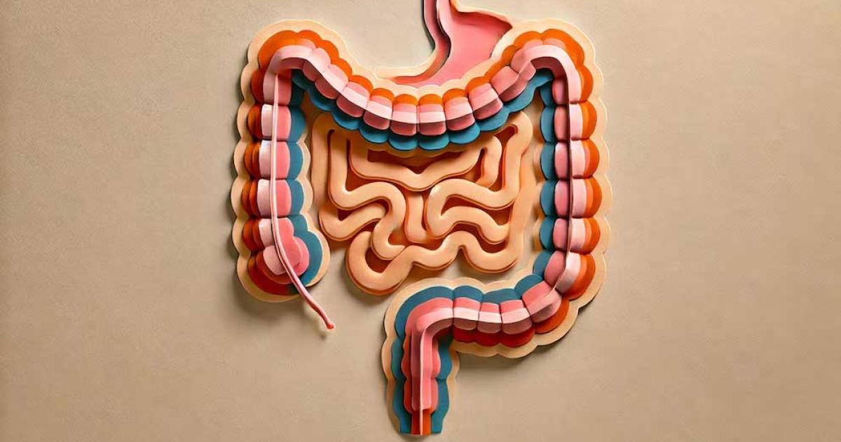 La salud intestinal influye directamente en el bienestar físico el sistema inmunológico y el equilibrio emocional seg�n expertos en digestivo