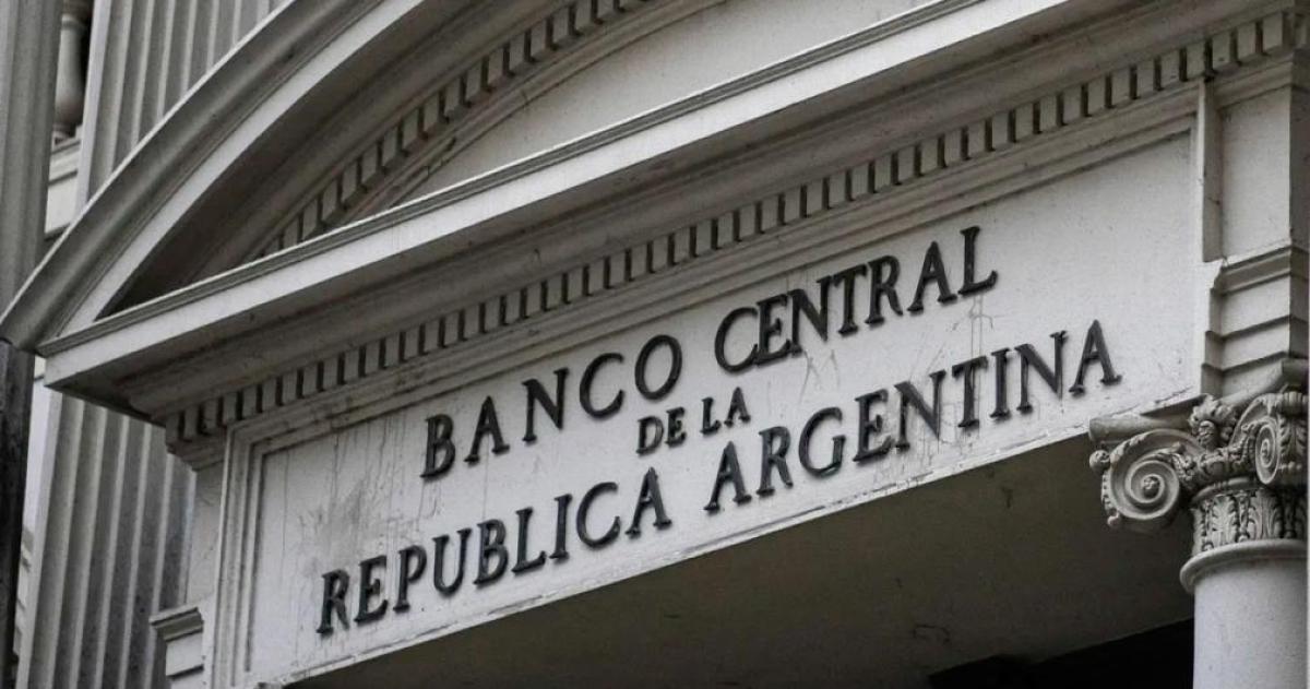 El Banco Central sumoacute divisas y las reservas treparon a US44874 millones reacutecord con Milei